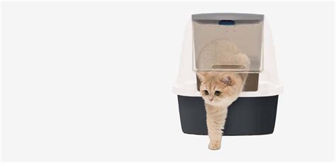 Reducing Environmental Impact with Catit Litter Box and its Blue Magic Technology